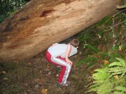 10.21.06 Wauna Viewpoint 024 